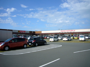 �C�I���^�E�������Ð�̒��ԏ�